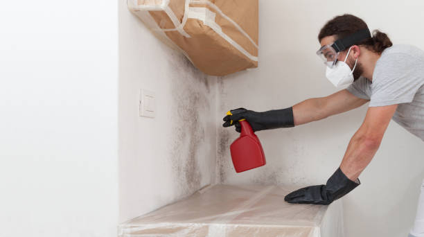 Professional Mold Removal technician working in Jacksonville, IL