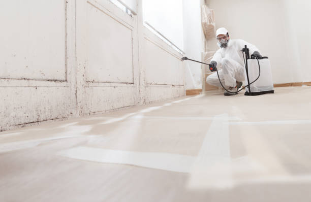 24/7 Emergency Mold Removal experts in Jacksonville, IL